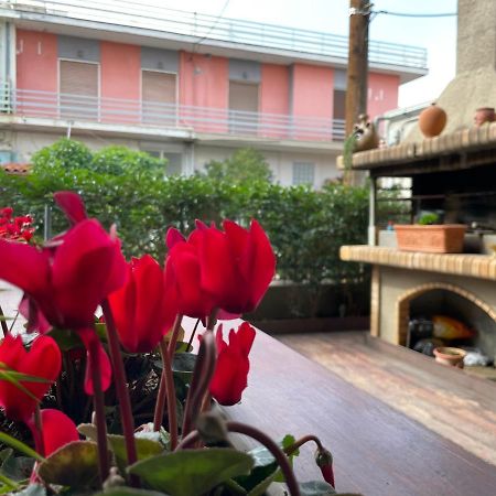Triptolemus Stay Inn Elefsis Dış mekan fotoğraf